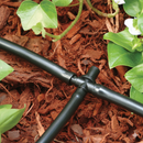 Rainbird micro irrigatie starters kit