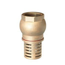 Brass foot valve female thread