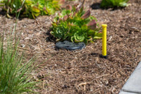 ECO-ID indicator
