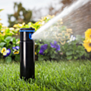 Hunter I-20 Kunststof stijgbuis Pop-Up 10cm