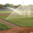 Rainbird Falcon 6504 Pop-Up Series 10cm