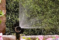 Rainbird adjustable VAN 1800 spray head